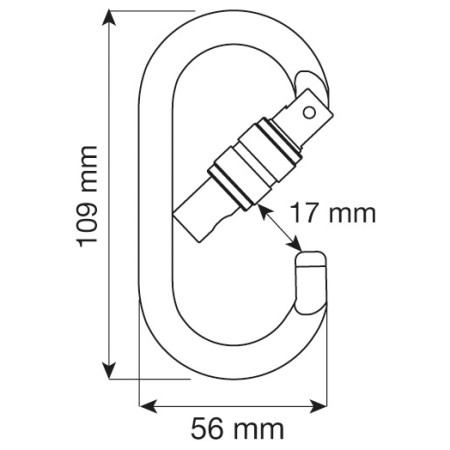 Karabina Camp Oval Pro Lock