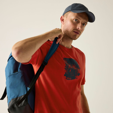 Pánské triko Regatta Cline IX