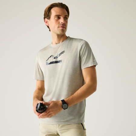 Pánské triko Regatta Fingal