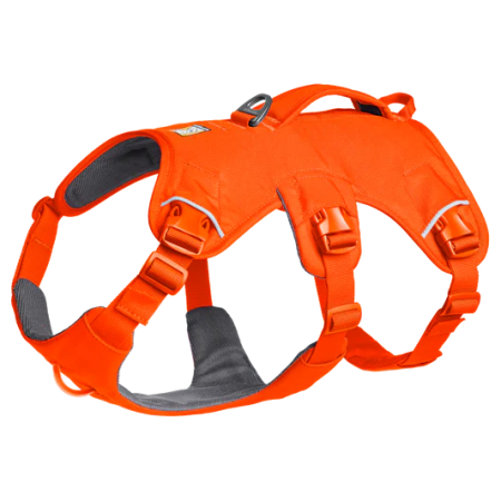 Postroj pro psa Ruffwear Web Master™ Harness
