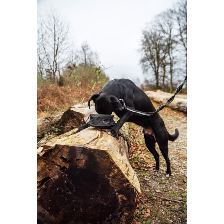 Miska pro psa Mountain Paws Collapsible Dog Food Bowl