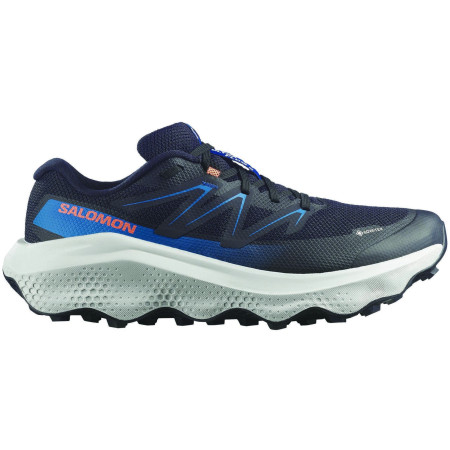Pánské boty Salomon Ultra Flow 2 Gore-Tex