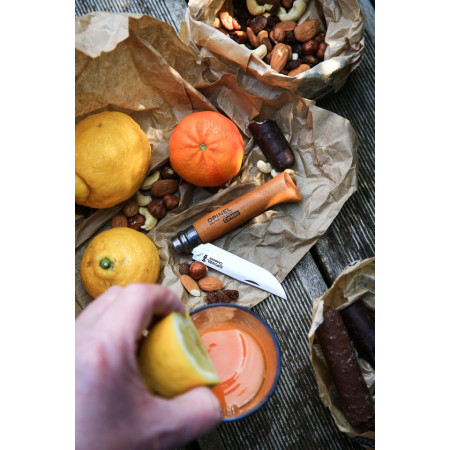 Zavírací nůž Opinel N°03 Carbon