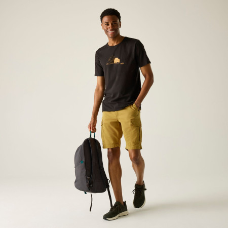 Pánské kraťasy Regatta Ruwan Shorts