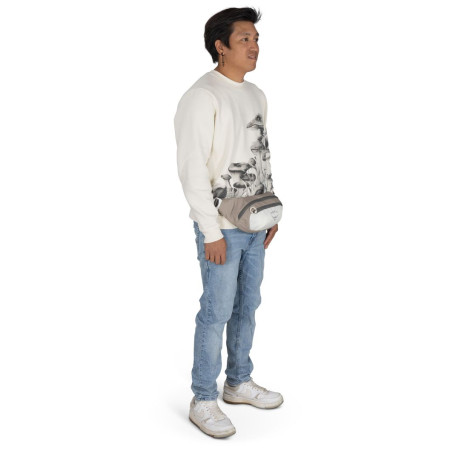 Ledvinka Osprey Daylite Waist Pack