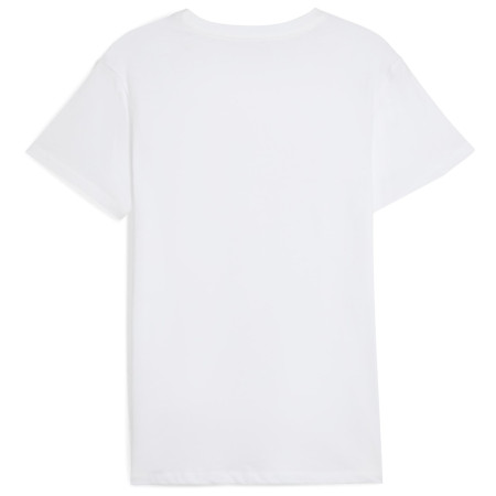 Pánské tričko Puma Everyday Crew Neck Tee 2P