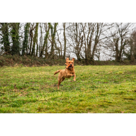 Hračka pro psa Mountain Paws Rubber Throw Dog Toy