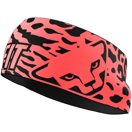 Čelenka Dynafit Graphic Performance Headband