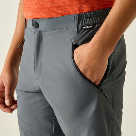 Pánské kraťasy Regatta Xert Stretch Shorts