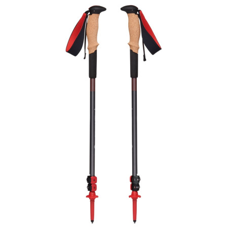 Trekové hole Black Diamond Pursuit Shock Trekking Poles