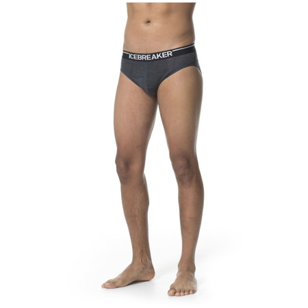 Pánské slipy Icebreaker Mens Anatomica Briefs