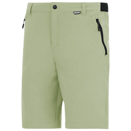 Pánské kalhoty Regatta Anti-Insect Travel Light Z/O Trousers