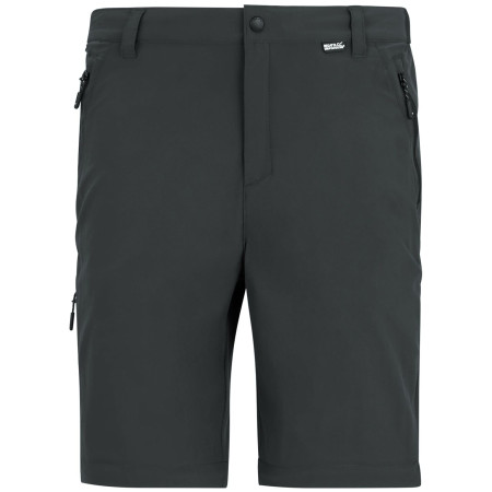 Pánské kalhoty Regatta Anti-Insect Travel Light Z/O Trousers