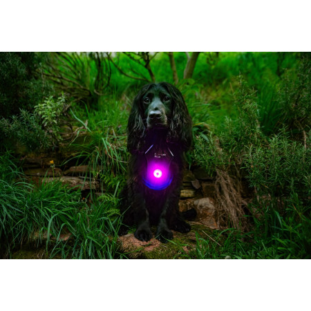 Světlo pro psa Mountain Paws Dog safety light 2-Pack