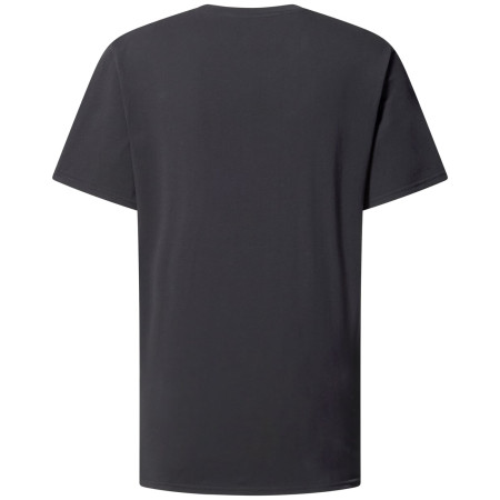 Pánské triko Haglöfs Outsiders Tee