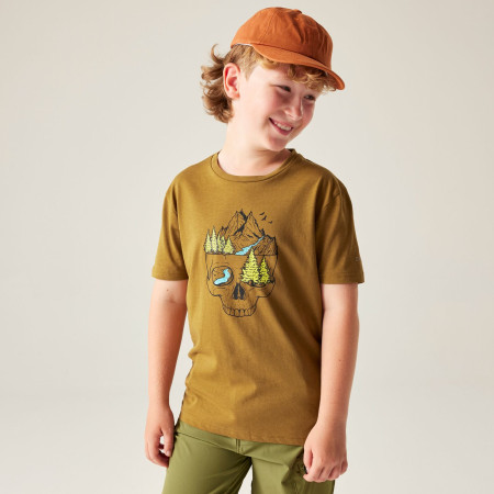 Dětské triko Dare 2b Trailbazer III Tee Dark Cumin