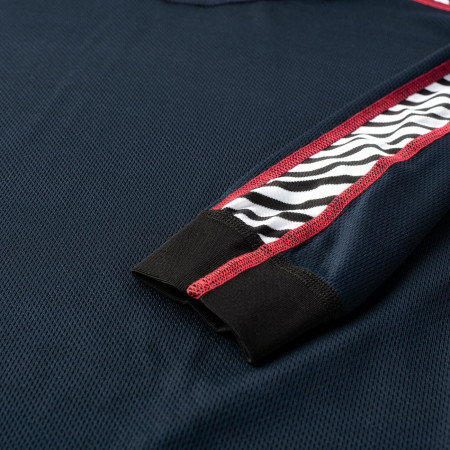 Pánské funkční triko Helly Hansen HH Lifa Stripe Crew