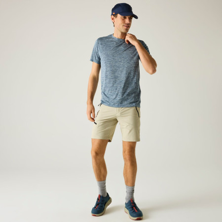 Pánské triko Regatta Fingal Edition