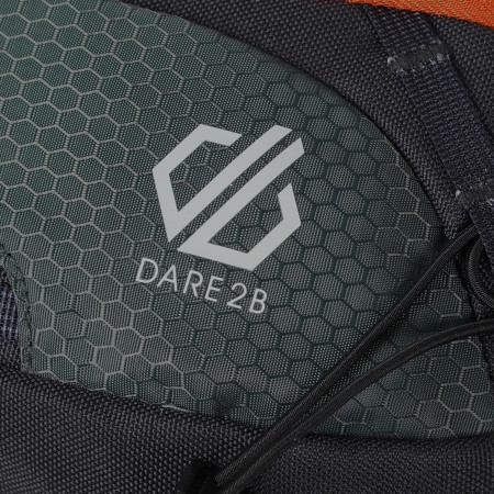 Ledvinka Dare 2b Torrek 3L