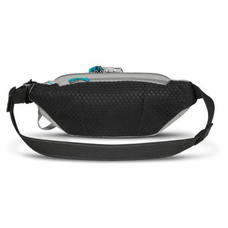 Ledvinka Pacsafe ECO waist pack