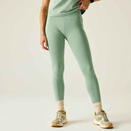 Dámské legíny Dare 2b Power Legging