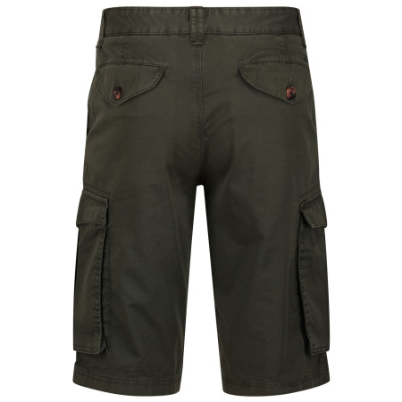 Pánské kraťasy Regatta Shorebay Short