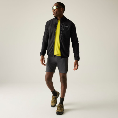 Pánská mikina Regatta Scaris