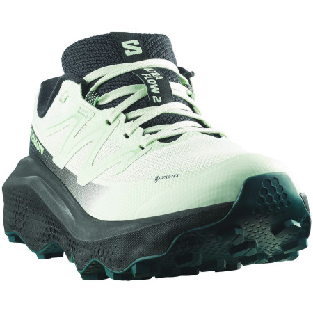 Dámské běžecké boty Salomon Ultra Flow 2 Gore-Tex