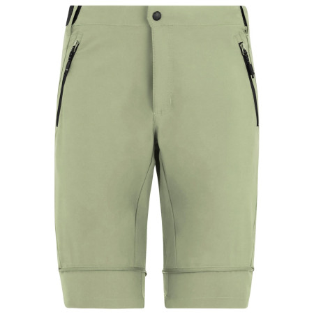 Pánské kraťasy Regatta Mountain Z/O Trousers