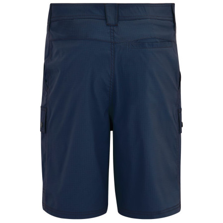 Pánské kraťasy Regatta Arlery Shorts