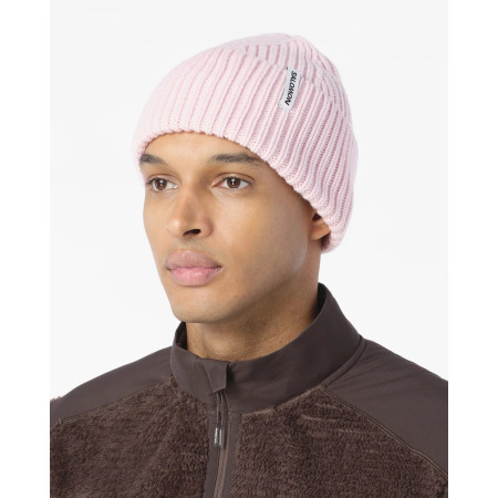 Čepice Salomon Snowbird Beanie U