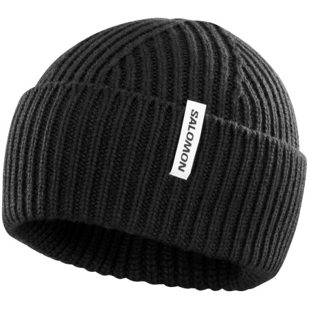 Čepice Salomon Snowbird Beanie U