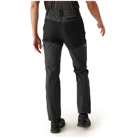 Pánské kalhoty Regatta Questra V