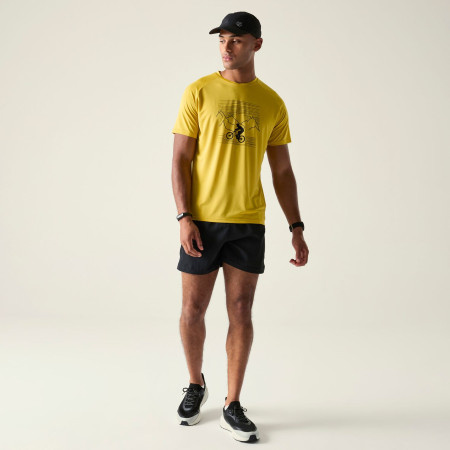 Pánské triko Dare 2b Tech II Tee