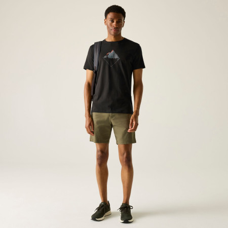 Pánské triko Regatta Breezed