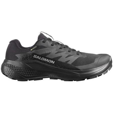Dámské boty Salomon Alphaglide Gore-Tex