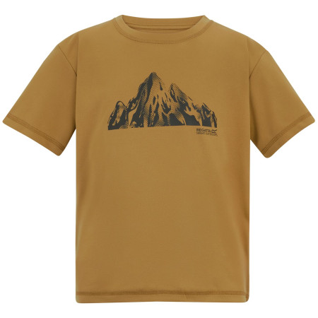 Dětské triko Regatta Alvarado Wood Brown