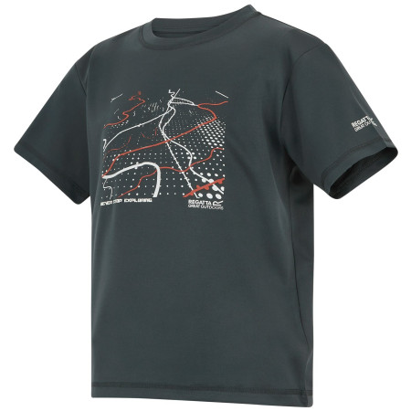 Dětské triko Regatta Alvarado Seal Grey