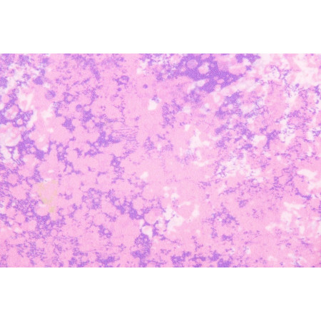 Dětské kalhoty Wouki Aiki Dusty violet