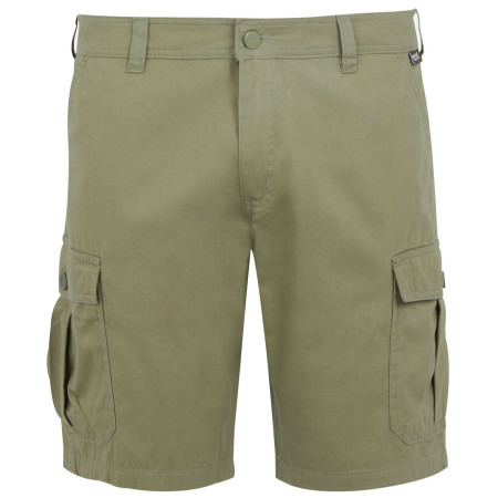 Pánské kraťasy Regatta Ruwan Shorts