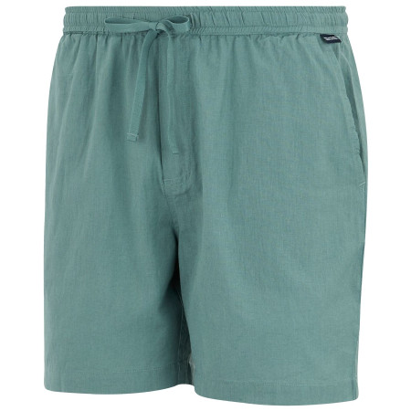 Pánské kraťasy Regatta Hadlin Shorts