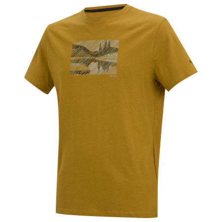 Pánské triko Regatta Breezed