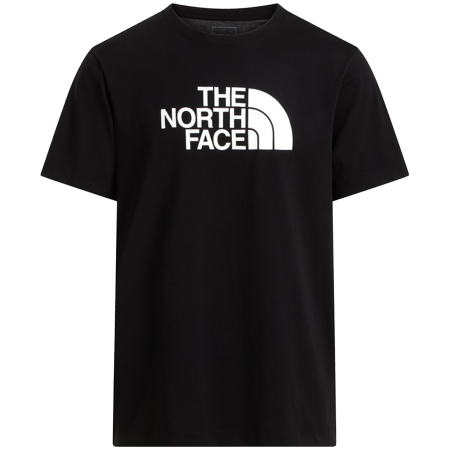Pánské triko The North Face Evolution Half Dome Regular Short Slee