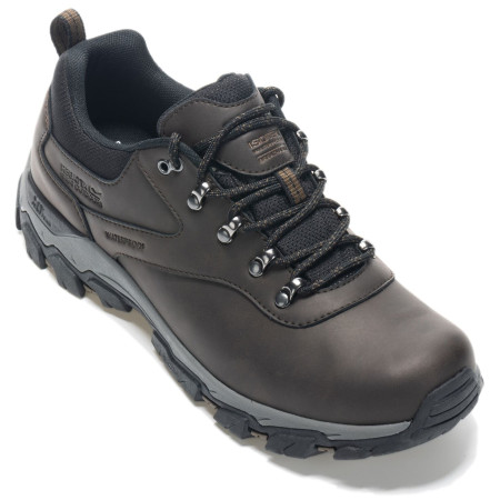 Pánské boty Regatta Holcombe Classic Low