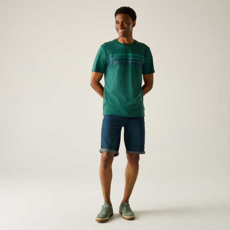 Pánské triko Regatta Rendro