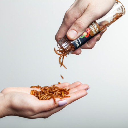 Jedlí červi Sens Dárkový set 4 chutí