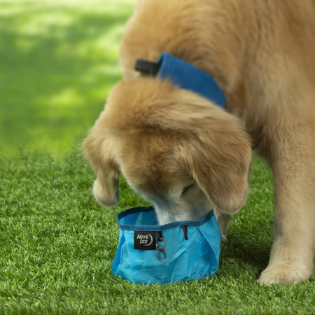 Miska pro psa Nite Ize Raddog Bowl