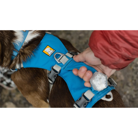 Postroj pro psa Ruffwear Flagline™ Harness