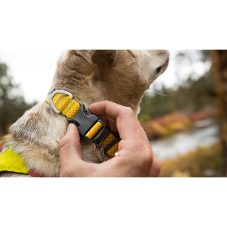 Obojek pro psa Ruffwear Hi & Light™ Collar