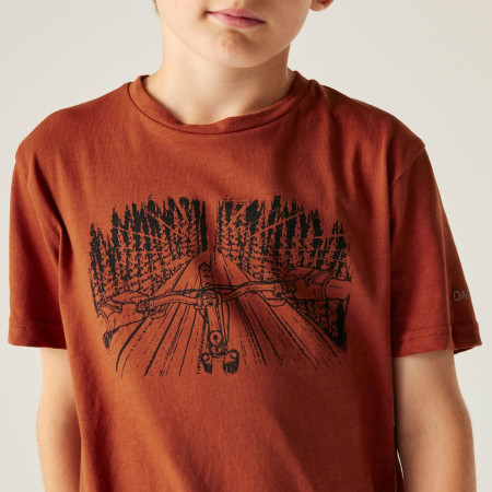 Dětské triko Dare 2b Trailbazer III Tee Arabian Spice